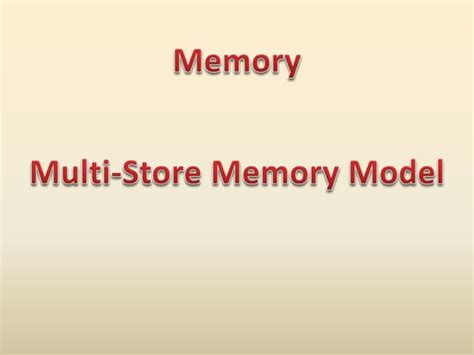 Image result for Multi-Store Memory Model OE