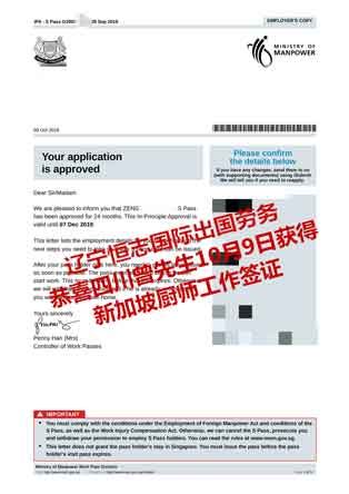 新加坡工作签证（攻略详解）-新加坡狮城宝