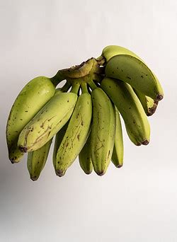 Bananas | My Site