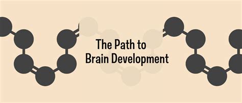 Omega 3 DHA: Vital for cognitive development – Lumy
