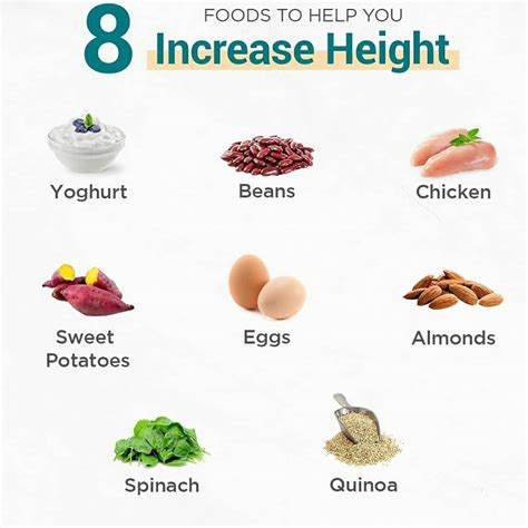 12 best foods to make your child taller – Artofit