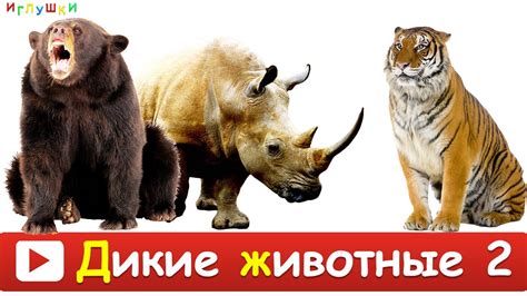 [ ДИКИЕ ЖИВОТНЫЕ для ДЕТЕЙ 2 ] Развивающие ВИДЕО про животных для детей ...
