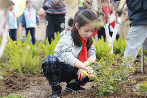 市五小：课堂搬进劳动基地 让学生“沉浸式”体验农耕文化_腾讯新闻