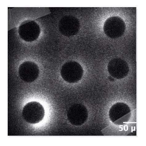 Image result for Conception Light Flash