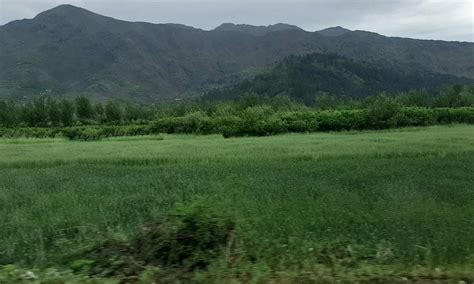 RIVERVIEW INN (Swat) - Hotel Reviews & Photos - Tripadvisor