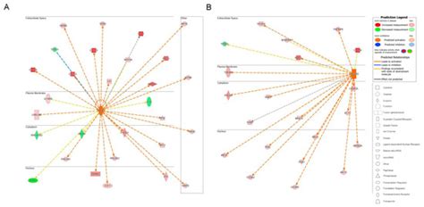 IJMS | Special Issue : Regulation and Treatment of Esophageal Mucosa ...