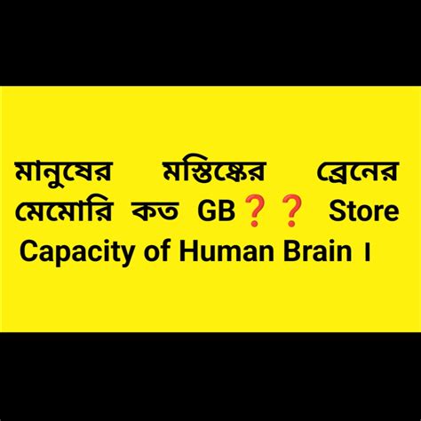 মানুষের মস্তিষ্কের ব্রেনের মেমোরি কত GB Store Capacity of Human Brain