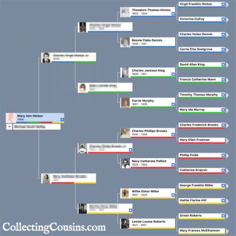 Image result for AncestryDNA Color Coding