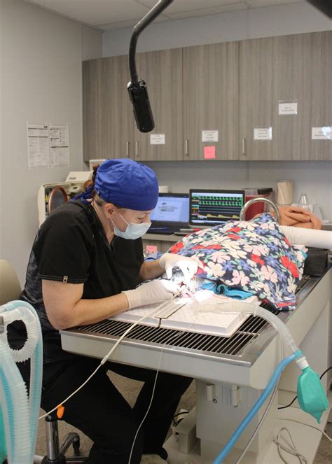 Photo Gallery | Cedar Park Animal Clinic