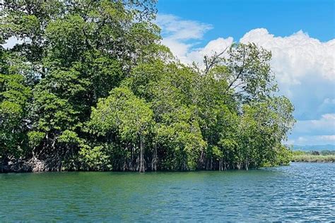 BLACK RIVER SAFARI CLASSIC COMBO: (BLACK RIVER SAFARI, YS FALLS ENTRY ...