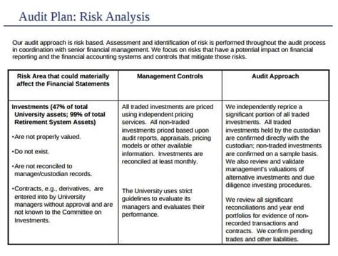 Audit Plan Example 的图像结果