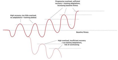 Image result for Progressive Overload versus Over Training