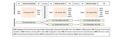 Data Gathering Procedure Experimental Design Example 的图像结果