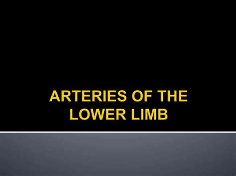 Arteries of lower limb by bbchaurasya.pdf