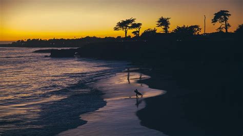 FAQs – Summer Session