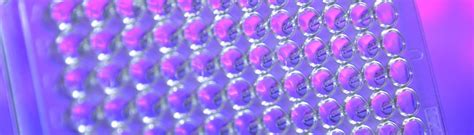 Image result for Bio-Rad qPCR Instrument Tutorial