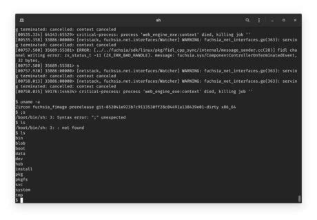 Alcuni sviluppatori hanno sviluppato un modo per provare Fuchsia OS