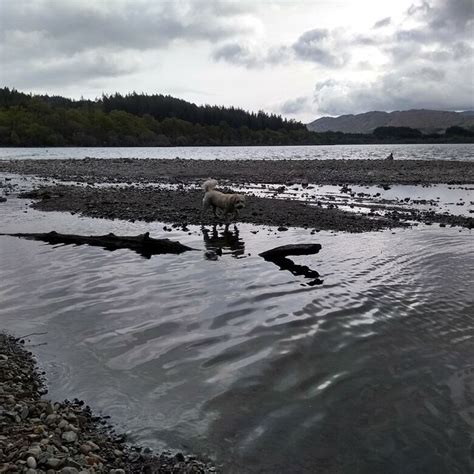 THE CABINS, LOCH AWE (Dalavich) - Campground Reviews, Photos, Rate ...