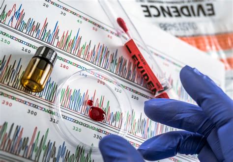 Forensic DNA 的图像结果