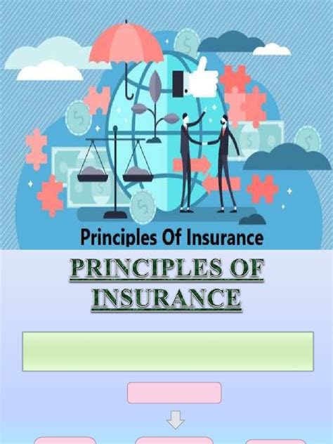 Image result for Principles of Insurance