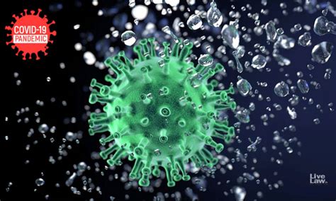 CPCB Issues Revised Guidelines For Disposal Of Waste Generated During ...