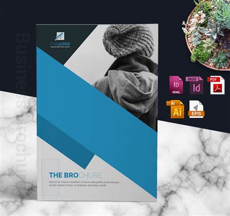 Image result for InDesign Module Template