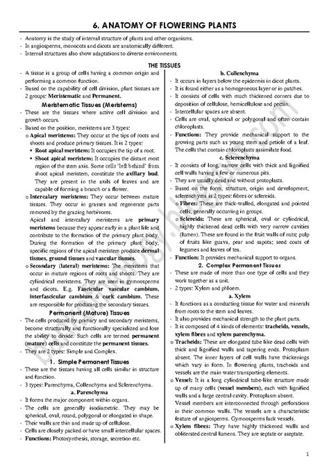 225557472611581786 4 - 1 puc science - 6. ANATOMY OF FLOWERING PLANTS ...