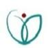 Image result for Skill Development Program Ppt Design