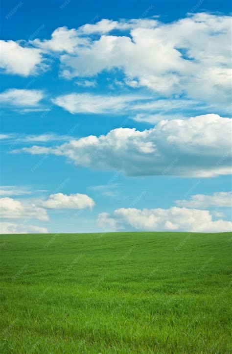 Spring Nature Scenery 的图像结果