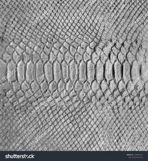 Image result for Python Skin Background