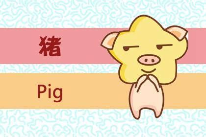 2019猪年宝宝起名字大全-起名网