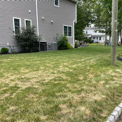 How to Treat Lawn Fungus: Identifying and Treating Common Lawn Fungal ...