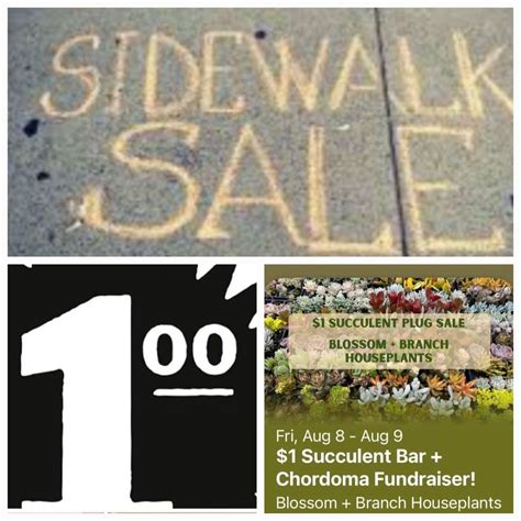 Pfaffs Resale Sidewalk Sale , 1125 Washington Ave, Grand Haven, MI, 7 ...