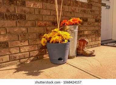 Anaconda for Python 的图像结果