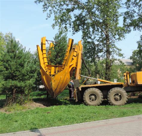 Image result for Planting Tree with Backhoe