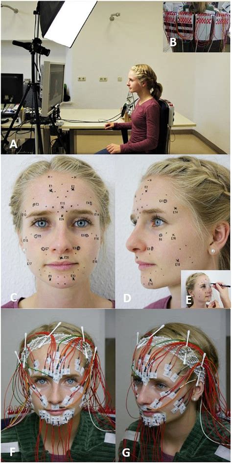 Frontiers | High-resolution surface electromyographic activities of facial muscles during mimic ...
