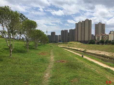 南昌经开区龙潭公园即将开工 还有多个公园正在建设或规划建设_休闲