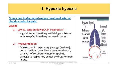HYPOXIA: Applied aspect of respiratory sysstem | PDF