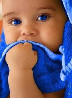 Image result for Web Development Essentials