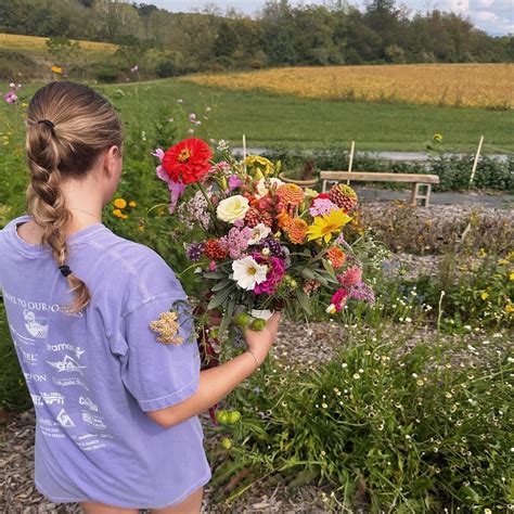 Tips for visiting our pick-your-own flower fields – Harmony Harvest Farm