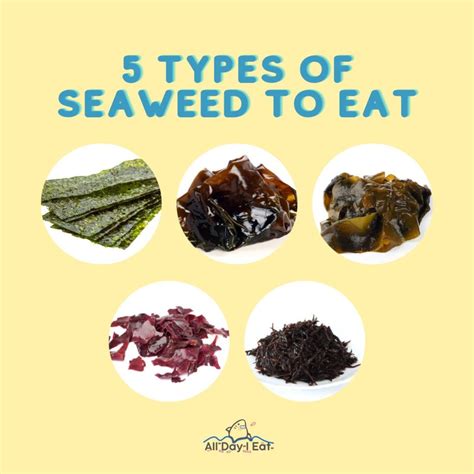 What Happens If You Eat Expired Seaweed at Valeria Sturm blog