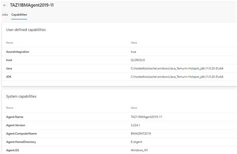 Rezultat imagine pentru Azure DevOps Agent Pool