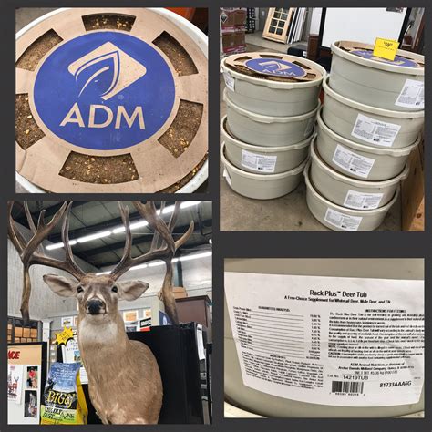 HILL'S ACE HARDWARE & LUMBER CENTER - Winder GA - Hours, Directions, Reviews - Loc8NearMe