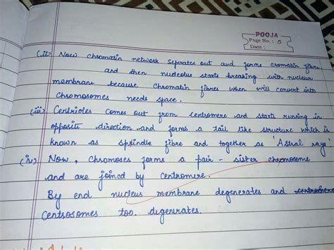 Prophase and explain its characteristics - Brainly.in