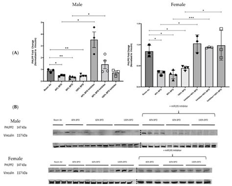 Biomedicines | Special Issue : Advances in Lung Diseases of Neonatal ...