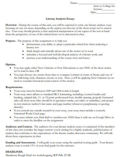 Image result for Literary Analysis Essay Examples