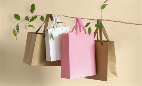 Hand Carry Paper Box Packaging Design 的图像结果