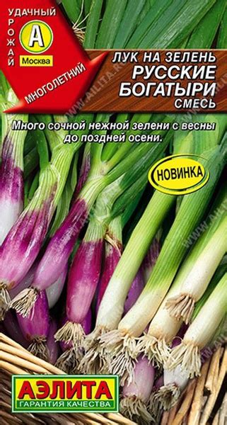 Лук Агрофирма Аэлита лук1 - купить по выгодным ценам в интернет ...