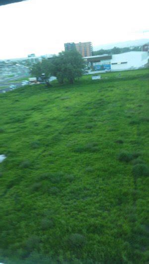 CITY EXPRESS BY MARRIOTT CELAYA GALERIAS (Guanajuato) - Hotel Reviews ...