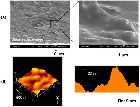 Preparation of Fluoroalkyl End-Capped Vinyltrimethoxysilane Oligomeric ...